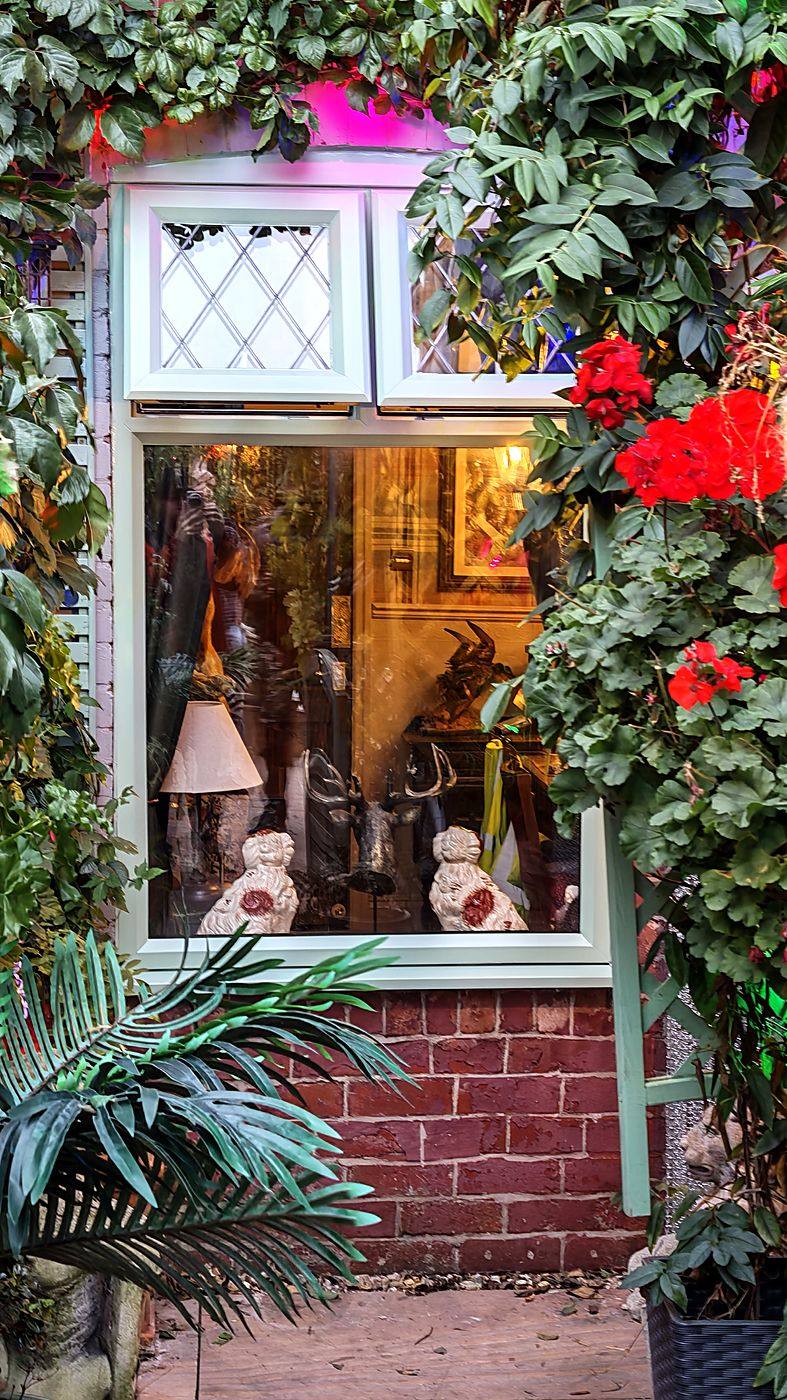 Sage green window framed by climbing plants